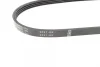 Поликлиновой ремень BOSCH 1 987 946 118 (фото 3)