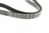 Поликлиновой ремень BOSCH 1 987 947 842 (фото 3)