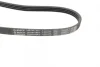 Поликлиновой ремень BOSCH 1 987 947 961 (фото 3)
