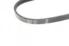 Поликлиновой ремень BOSCH 1 987 948 302 (фото 2)
