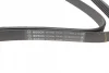 Поликлиновой ремень BOSCH 1 987 948 344 (фото 2)