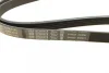 Поликлиновой ремень BOSCH 1 987 948 411 (фото 2)