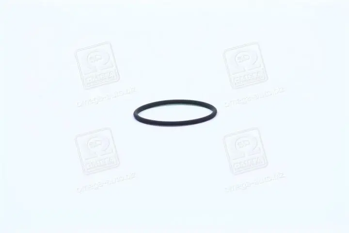 Уплотнительное кольцо BOSCH F 00R J00 220 (фото 1)