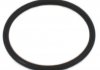 Уплотнительное кольцо BOSCH F 00V C38 002 (фото 2)