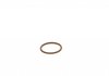 Уплотнительное кольцо BOSCH F 00V P01 005 (фото 3)