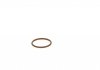 Уплотнительное кольцо BOSCH F 00V P01 005 (фото 4)