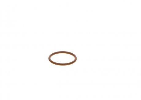 Уплотнительное кольцо BOSCH F 00V P01 005 (фото 1)