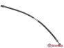 Шланг тормозной BREMBO T86002 (фото 1)