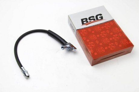 Гальмівний шланг BSG BSG 30-730-009 (фото 1)