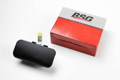 Ручка двери BSG BSG 30-970-043