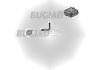 Трубка нагнетаемого воздуха BUGIAD 85607 (фото 2)