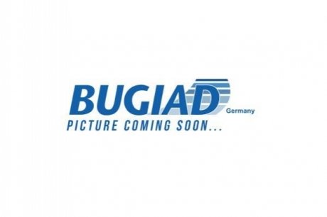 Поворотний кулак BUGIAD BSP25053 (фото 1)