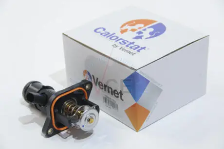 Термостат, охлаждающая жидкость CALORSTAT by Vernet TE6976.105J