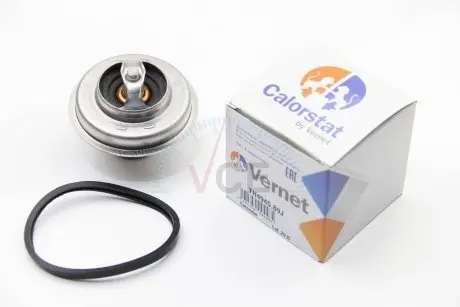 Термостат, охлаждающая жидкость CALORSTAT by Vernet TH4945.89J