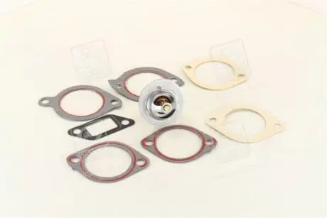 Термостат, охлаждающая жидкость CALORSTAT by Vernet TH5075.82J