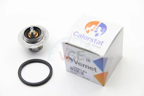Термостат, охлаждающая жидкость CALORSTAT by Vernet TH6047.83J