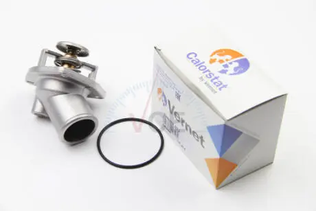 Термостат, охлаждающая жидкость CALORSTAT by Vernet TH6287.92J