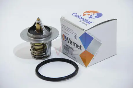 Термостат, охлаждающая жидкость CALORSTAT by Vernet TH6297.82J