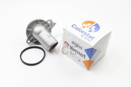 Термостат, охлаждающая жидкость CALORSTAT by Vernet TH6513.87J