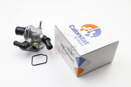 Термостат, охлаждающая жидкость CALORSTAT by Vernet TH6981.88J