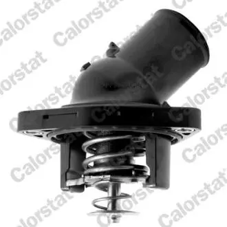Термостат, охлаждающая жидкость CALORSTAT by Vernet TH7317.82J