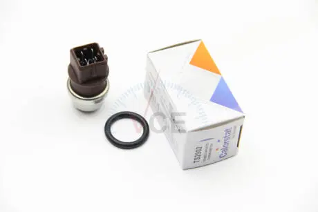 Термовыключатель, вентилятор радиатора CALORSTAT by Vernet TS2902