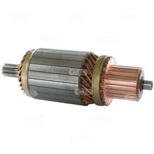 Якорь стартера CARGO F032133850