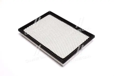 Повітряний фільтр CHAMPION CAF100928P