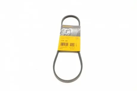 Ремень поликлиновый CONTITECH 3PK750
