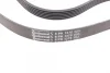 Ремень поликлиновый OPEL Combo 11-18; FIAT DOBLO 09-16 CONTITECH 6PK1370 (фото 3)