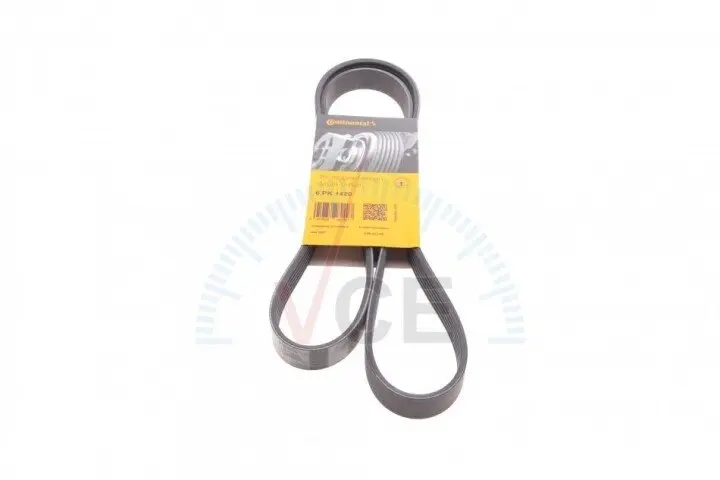 Поликлиновой ремень Ford Connect Ford Escort Ford Fiesta Ford Focus CONTITECH 6PK1420 (фото 1)