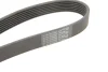 Ремень поликлиновый CONTITECH 7PK1335 (фото 4)