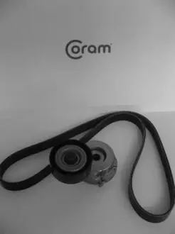 Ремень грм, комплект (ролики + ремень) fiat punto (12-18), suzuki swift iv (10-16) CORAM KTC100320