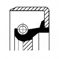 Уплотняющее кольцо, коленчатый вал; уплотняющее кольцо, ступенчатая коробка. CORTECO 12011455