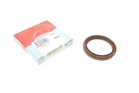 Уплотняющее кольцо, коленчатый вал; уплотняющее кольцо, распределительный вал CORTECO 19035013B