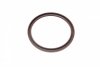 Уплотняющее кольцо, коленчатый вал CORTECO 20018713B (фото 2)