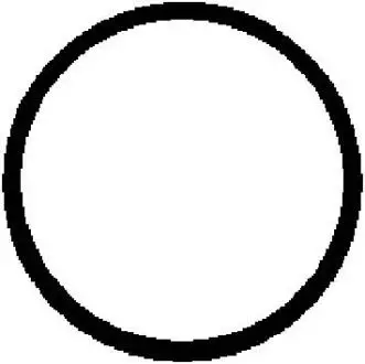 Прокладка, впускной коллектор CORTECO 450160H