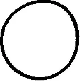 Прокладка, впускной коллектор CORTECO 450561H