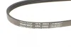 Поликлиновой ремень Dayco 4PK903EE (фото 2)