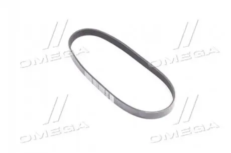 Поликлиновой ремень Dayco 6PK803K