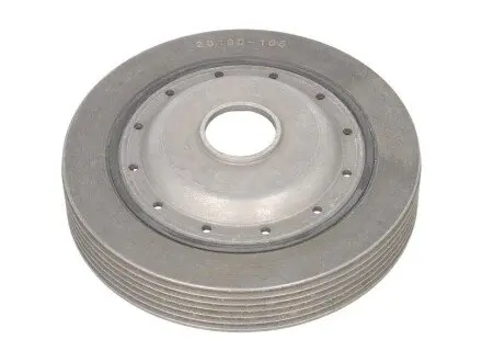 Шків колінвалу RENAULT Clio 98-05, Kangoo 97-13, Laguna 93-07 Dayco DPV1061