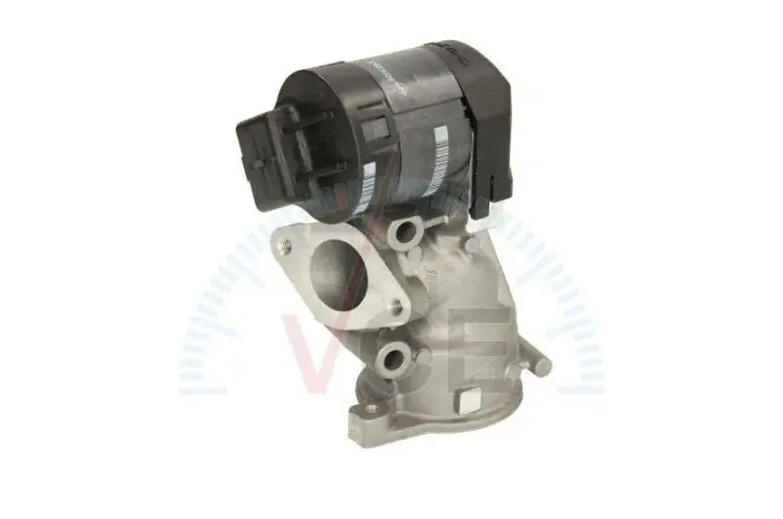 Клапан повернення вог DELPHI EG10395-12B1 (фото 1)