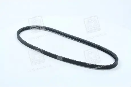 Ремень клиновидный (дл. 60-180) DONGIL 13X975