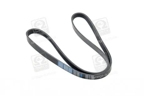 Ремень поликлиновый DONGIL 5PK1300