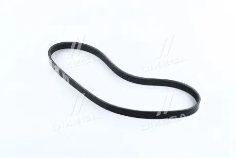 Ремень поликлиновый DONGIL 5PK835