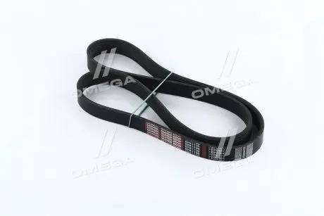 Ремень поликлиновый DONGIL 6PK1130