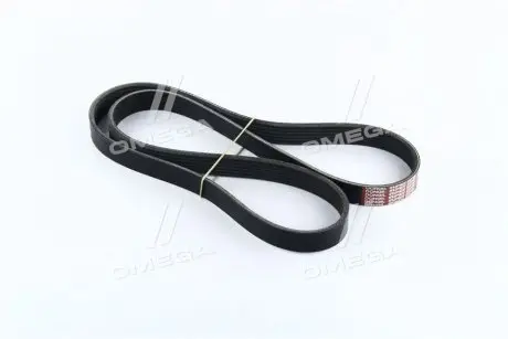 Ремень поликлин. (производство) DONGIL 6PK1281