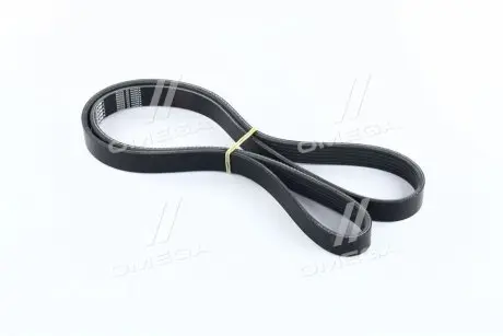 Ремінь поліклін. DONGIL 6PK1335