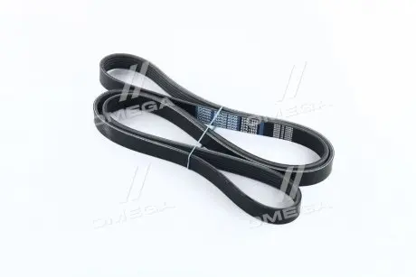 Ремень поликлин. DONGIL 6PK1955