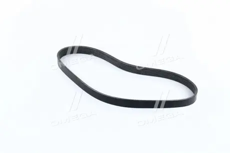 Ремень поликлиновый DONGIL 6PK800